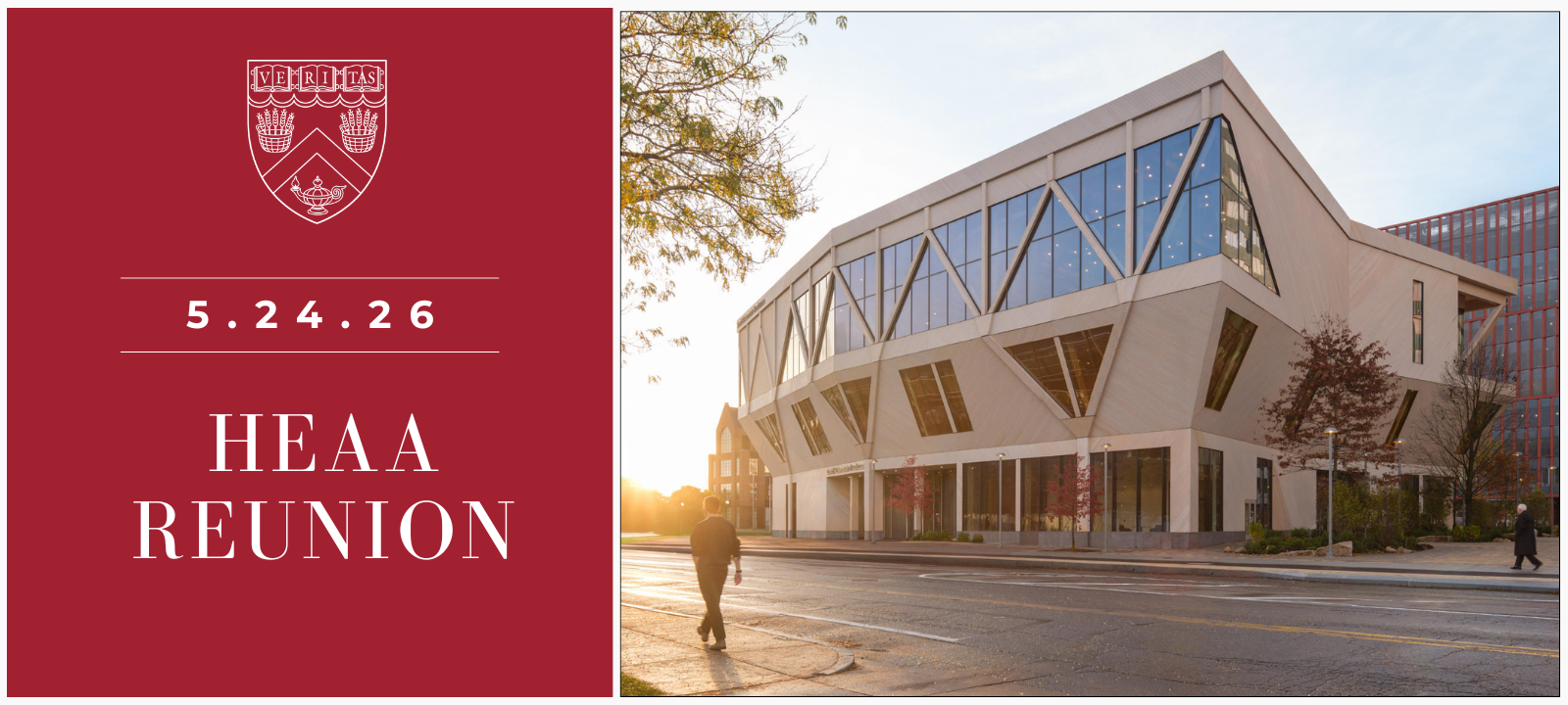 Image of the tree house venue